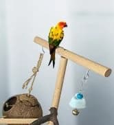 Bird Feeding Dish Cups Parrot Food Bowl Clamp Holder Coop Cup — 2PCS Bird Cage Water Bowl for Parakeet African — collection imagery