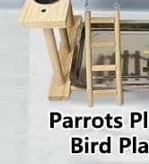Bird Feeding Dish Cups Parrot Food Bowl Clamp Holder Coop Cup — 2PCS Bird Cage Water Bowl for Parakeet African — collection imagery