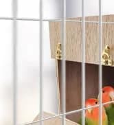 Bird Feeding Dish Cups Parrot Food Bowl Clamp Holder Coop Cup — 2PCS Bird Cage Water Bowl for Parakeet African — collection imagery