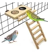 Bird Feeding Dish Cups Parrot Food Bowl Clamp Holder Coop Cup — 2PCS Bird Cage Water Bowl for Parakeet African — collection imagery