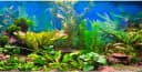 48x24 in Aquatic Plant Aquarium Backdrop — Riverbed Fish Tank Background