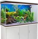 48x24 in Aquatic Plant Aquarium Backdrop — Riverbed Fish Tank Background