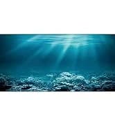 48x24 in Aquatic Plant Aquarium Backdrop — Riverbed Fish Tank Background — collection imagery