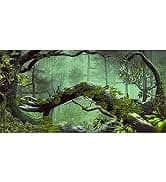 48x24 in Aquatic Plant Aquarium Backdrop — Riverbed Fish Tank Background — collection imagery