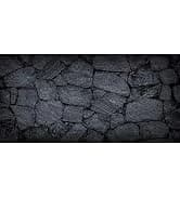 48x24 in Aquatic Plant Aquarium Backdrop — Riverbed Fish Tank Background — collection imagery