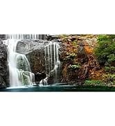 48x24 in Aquatic Plant Aquarium Backdrop — Riverbed Fish Tank Background — collection imagery