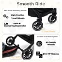 Folding Pet Stroller for Cats and Small Dog with Detachable Carrier