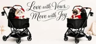 Folding Pet Stroller for Cats and Small Dog with Detachable Carrier — collection imagery