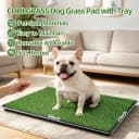 Dog Grass Pad with Tray — 34 x 23 Inch