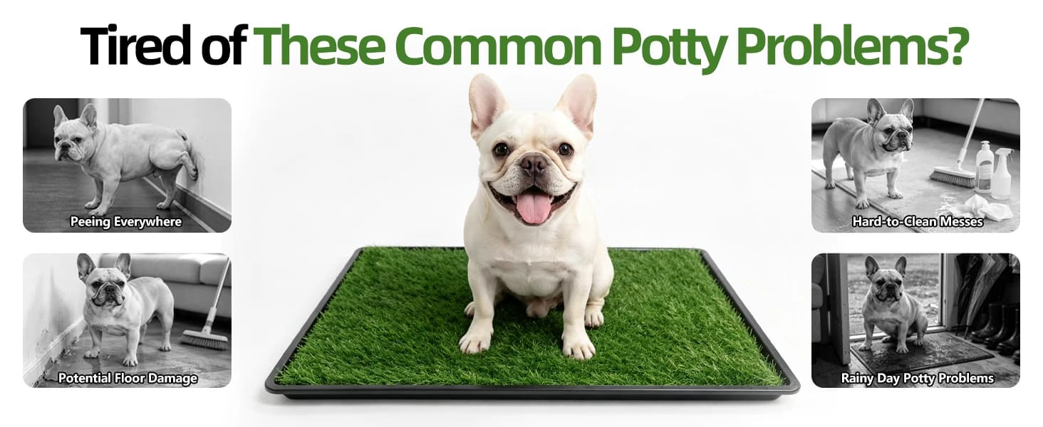 Dog Grass Pad with Tray — 34 x 23 Inch — product details