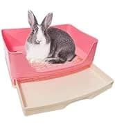 Large Rabbit Litter Box Trainer — collection imagery