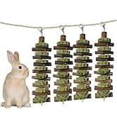 Large Rabbit Litter Box Trainer — collection imagery