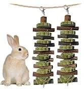 Large Rabbit Litter Box Trainer — collection imagery