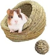 Large Rabbit Litter Box Trainer — collection imagery
