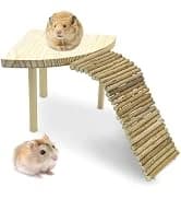 Large Rabbit Litter Box Trainer — collection imagery