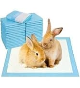 Large Rabbit Litter Box Trainer — collection imagery
