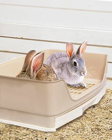 Large Rabbit Litter Box Trainer — collection imagery