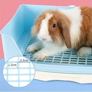Large Rabbit Litter Box Trainer — collection imagery