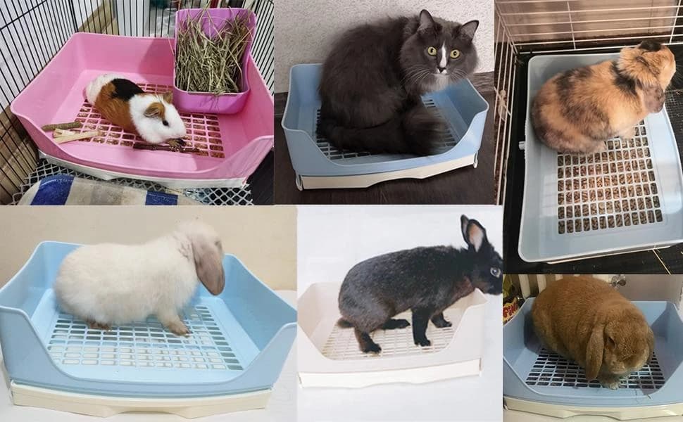 Large Rabbit Litter Box Trainer — product details