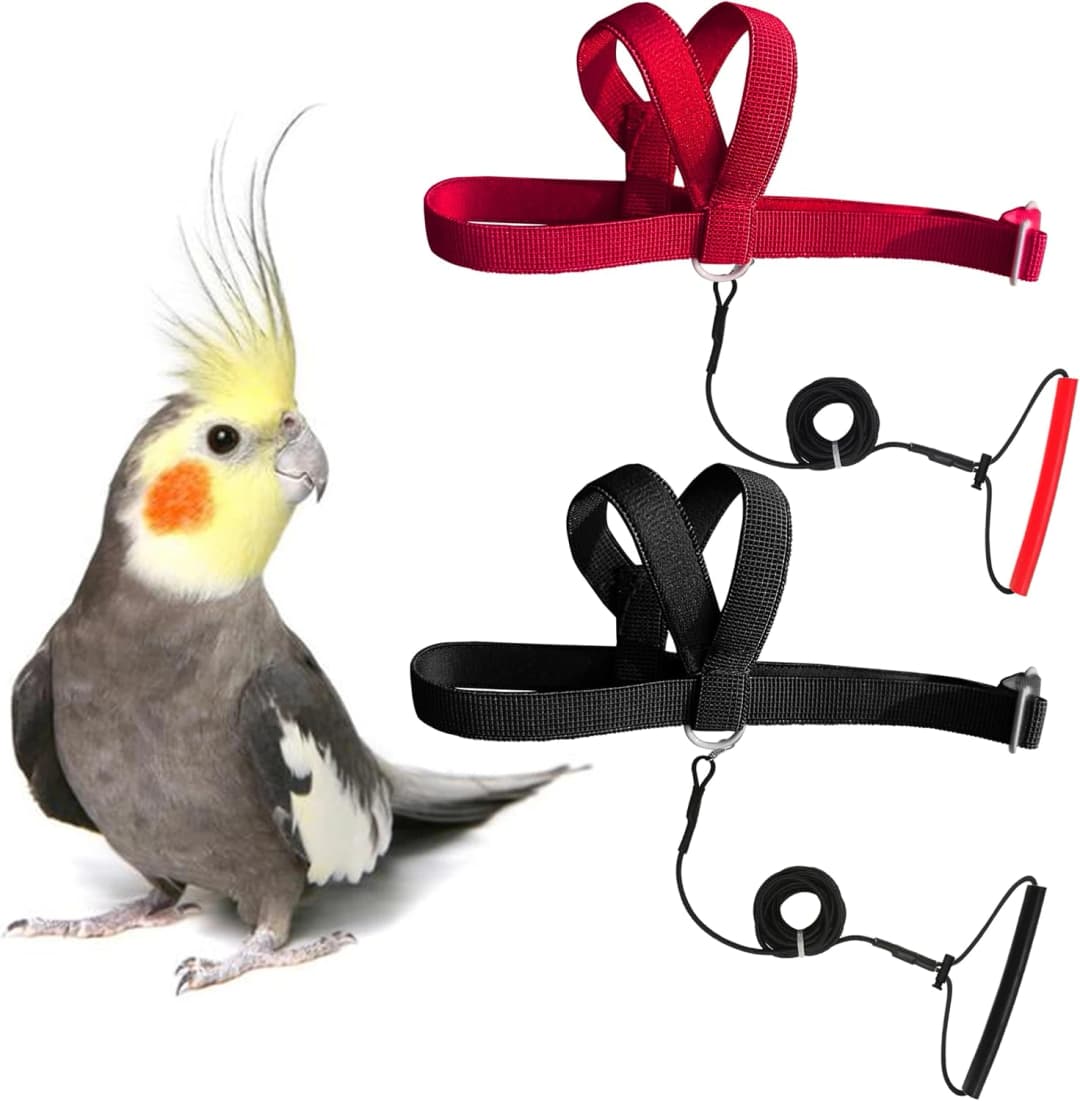 Adjustable Bird Harness with 80-inch Leash