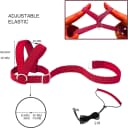 Adjustable Bird Harness with 80-inch Leash