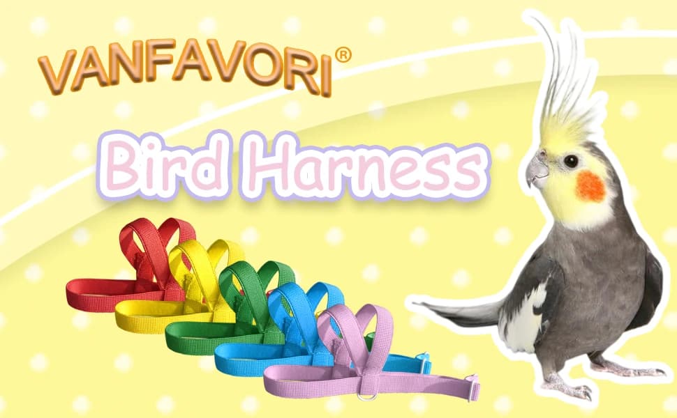 Adjustable Bird Harness with 80-inch Leash — product details