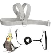 Adjustable Bird Harness with 80-inch Leash — collection imagery