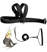 Adjustable Bird Harness with 80-inch Leash — collection imagery