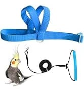 Adjustable Bird Harness with 80-inch Leash — collection imagery
