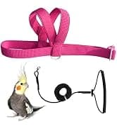 Adjustable Bird Harness with 80-inch Leash — collection imagery