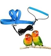 Adjustable Bird Harness with 80-inch Leash — collection imagery