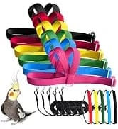 Adjustable Bird Harness with 80-inch Leash — collection imagery