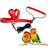 Adjustable Bird Harness with 80-inch Leash — collection imagery