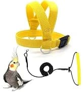 Adjustable Bird Harness with 80-inch Leash — collection imagery