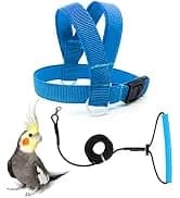Adjustable Bird Harness with 80-inch Leash — collection imagery