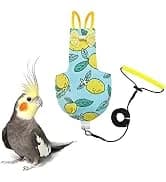 Adjustable Bird Harness with 80-inch Leash — collection imagery
