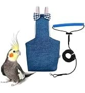 Adjustable Bird Harness with 80-inch Leash — collection imagery