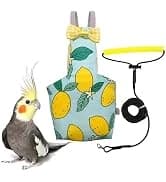 Adjustable Bird Harness with 80-inch Leash — collection imagery
