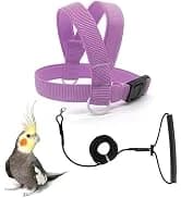 Adjustable Bird Harness with 80-inch Leash — collection imagery