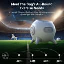 Automatic Ball Launcher for Dogs with Obstacle Detection — 4Balls