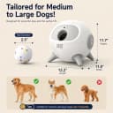 Automatic Ball Launcher for Dogs with Obstacle Detection — 4Balls