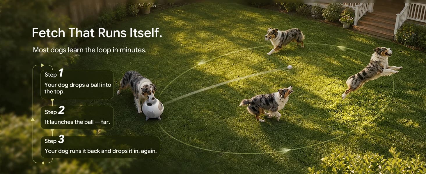 Automatic Ball Launcher for Dogs with Obstacle Detection — 4Balls — product details