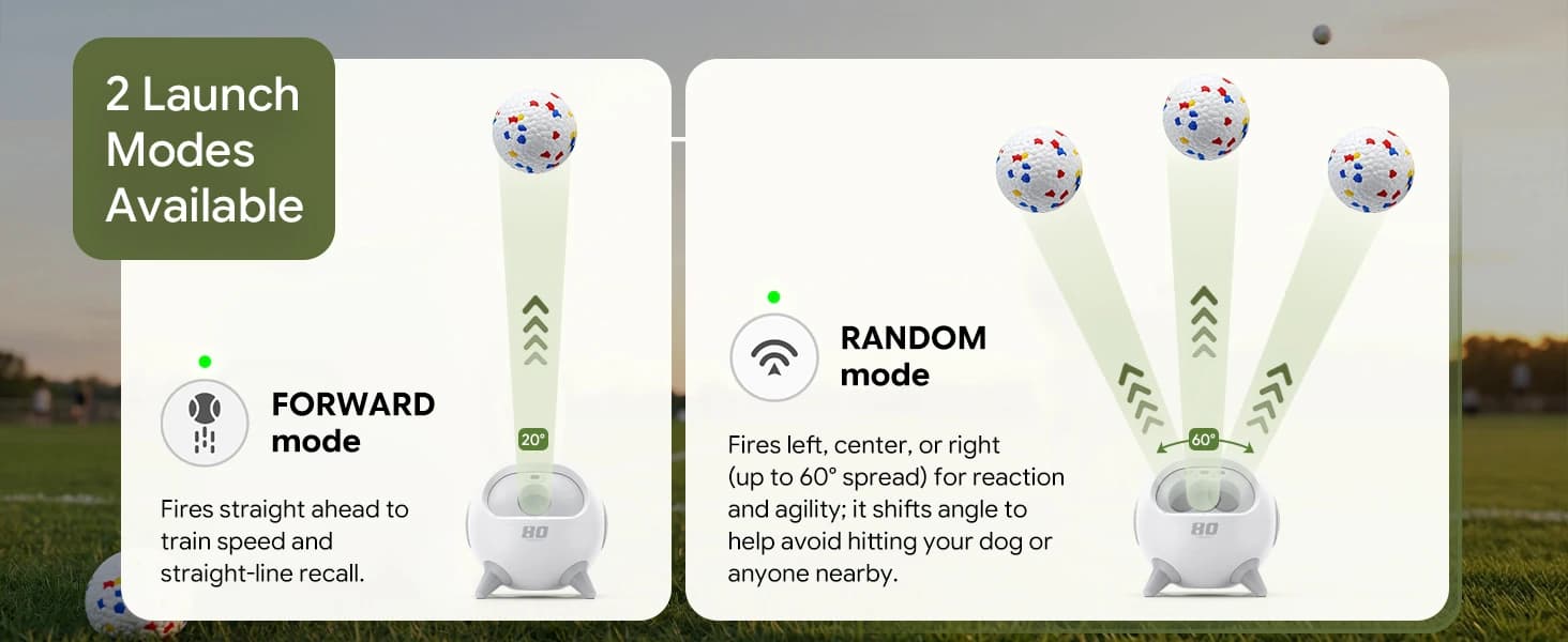 Automatic Ball Launcher for Dogs with Obstacle Detection — 4Balls — collection imagery