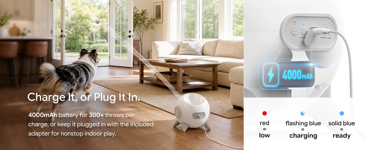 Automatic Ball Launcher for Dogs with Obstacle Detection — 4Balls — collection imagery