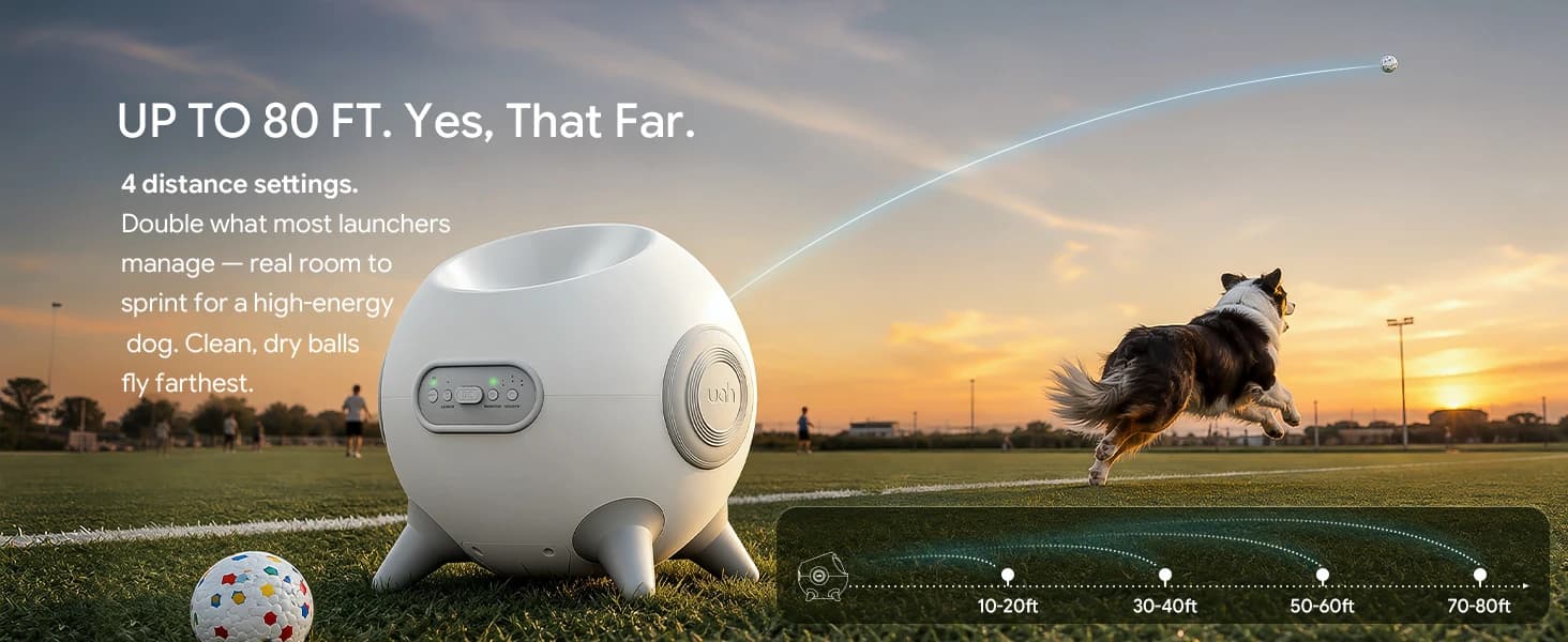 Automatic Ball Launcher for Dogs with Obstacle Detection — 4Balls — collection imagery