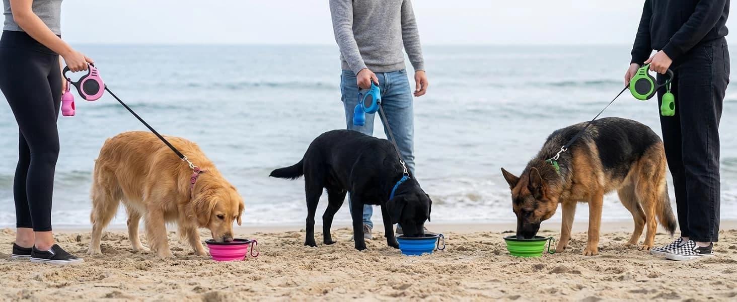 PETIMP Retractable Dog Leash Lightweight — 16FT Leash Set — product details