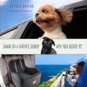 Dog Booster Car Seat for Small/Medium Dogs Up to 35lbs