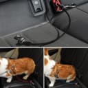 Dog Seat Belt Harness for Car,2pcs Dog Seatbelt of Coated Wire Leash Safety Restraint