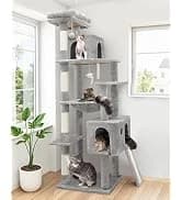 F70 Pro Heavy Duty Cat Tree Tower for Indoor Cats Large Adult — collection imagery