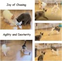 Interactive Cat Ball Toy Set